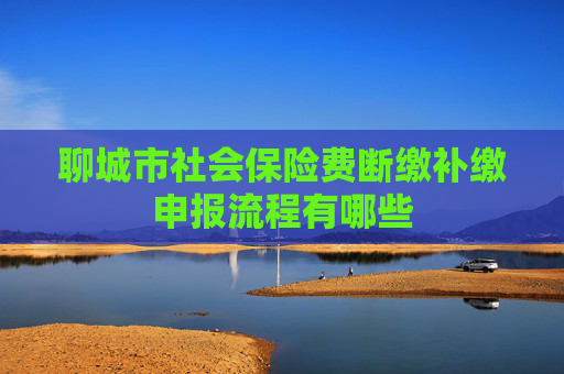聊城市社会保险费断缴补缴申报流程有哪些