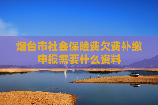 烟台市社会保险费欠费补缴申报需要什么资料
