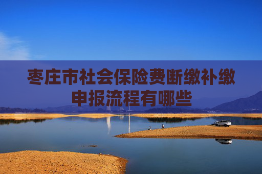 枣庄市社会保险费断缴补缴申报流程有哪些