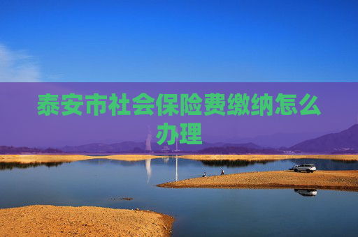 泰安市社会保险费缴纳怎么办理