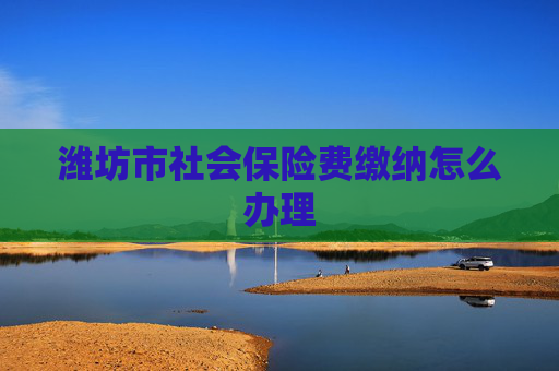潍坊市社会保险费缴纳怎么办理