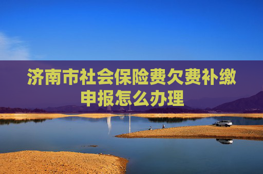 济南市社会保险费欠费补缴申报怎么办理