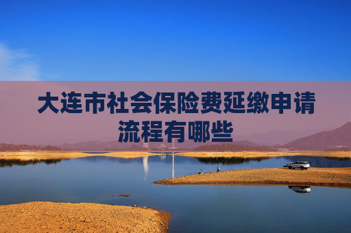 大连市社会保险费延缴申请流程有哪些