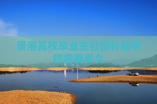 贵港高校毕业生社保补贴申领需要多久
