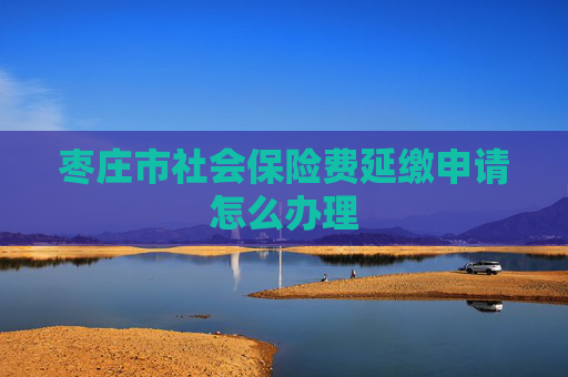 枣庄市社会保险费延缴申请怎么办理