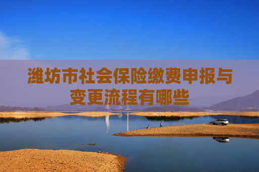 潍坊市社会保险缴费申报与变更流程有哪些