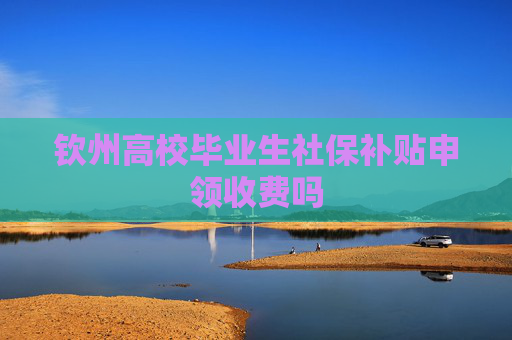 钦州高校毕业生社保补贴申领收费吗