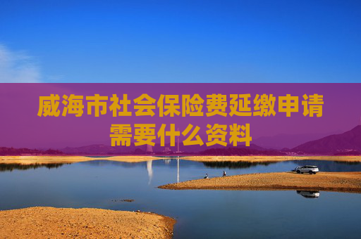 威海市社会保险费延缴申请需要什么资料