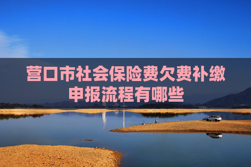 营口市社会保险费欠费补缴申报流程有哪些