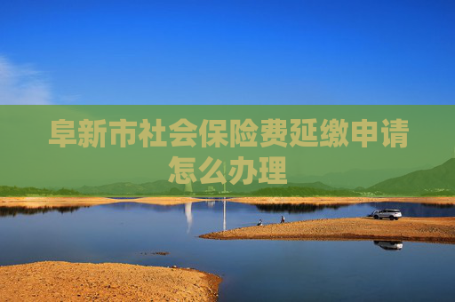 阜新市社会保险费延缴申请怎么办理