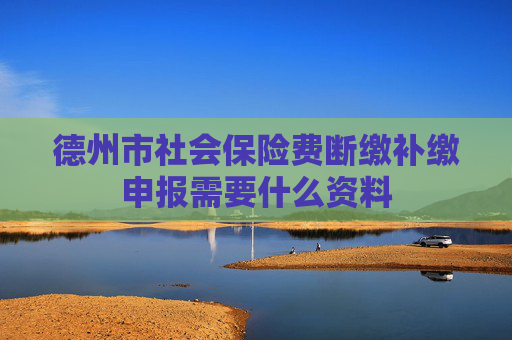德州市社会保险费断缴补缴申报需要什么资料