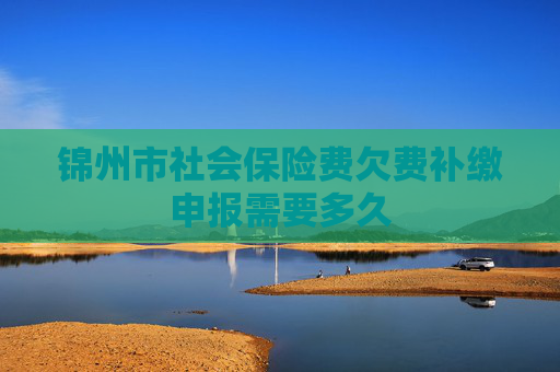 锦州市社会保险费欠费补缴申报需要多久