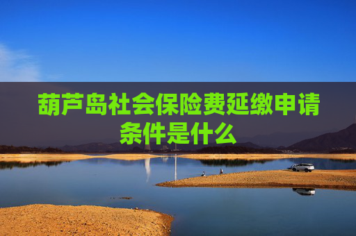 葫芦岛社会保险费延缴申请条件是什么