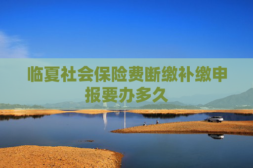 临夏社会保险费断缴补缴申报要办多久