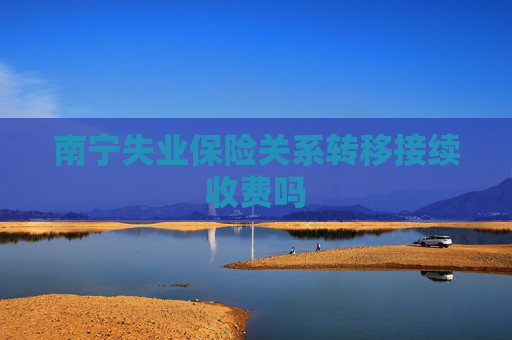 南宁失业保险关系转移接续收费吗