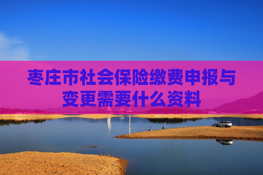 枣庄市社会保险缴费申报与变更需要什么资料