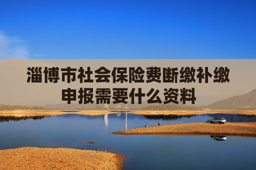 淄博市社会保险费断缴补缴申报需要什么资料
