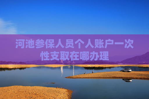 河池参保人员个人账户一次性支取在哪办理