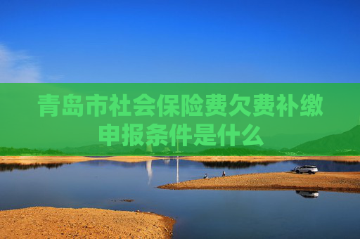 青岛市社会保险费欠费补缴申报条件是什么