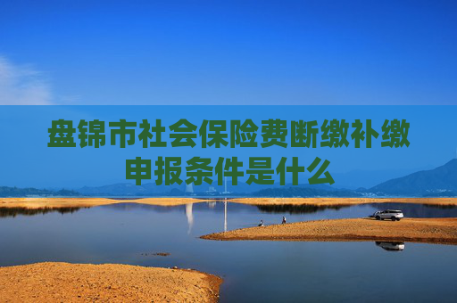 盘锦市社会保险费断缴补缴申报条件是什么