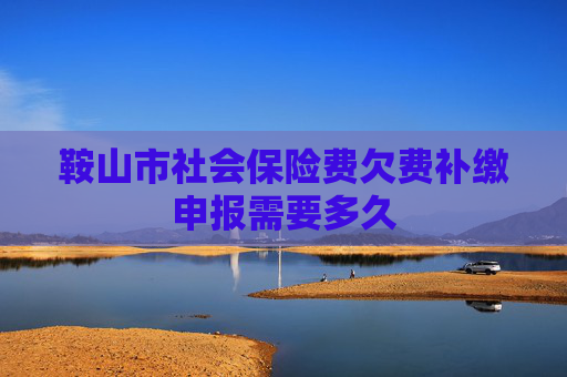 鞍山市社会保险费欠费补缴申报需要多久