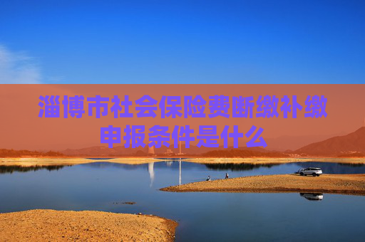 淄博市社会保险费断缴补缴申报条件是什么