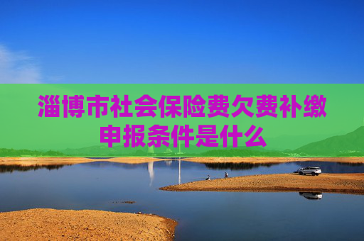 淄博市社会保险费欠费补缴申报条件是什么