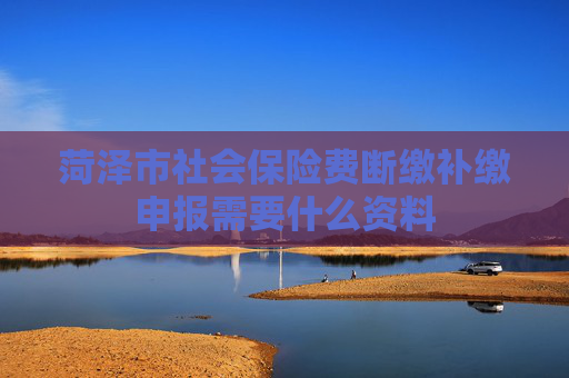 菏泽市社会保险费断缴补缴申报需要什么资料