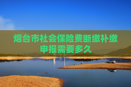 烟台市社会保险费断缴补缴申报需要多久