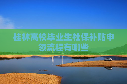 桂林高校毕业生社保补贴申领流程有哪些