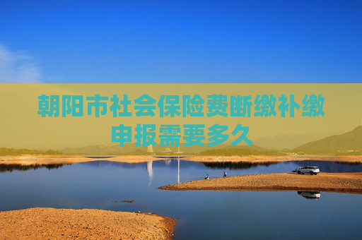 朝阳市社会保险费断缴补缴申报需要多久