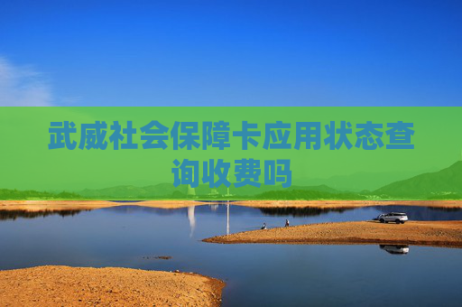 武威社会保障卡应用状态查询收费吗