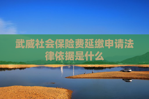 武威社会保险费延缴申请法律依据是什么
