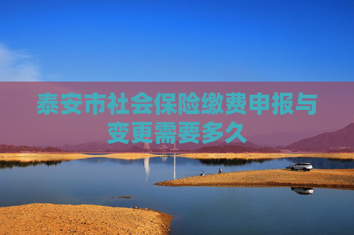 泰安市社会保险缴费申报与变更需要多久