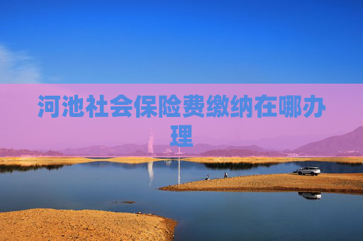 河池社会保险费缴纳在哪办理