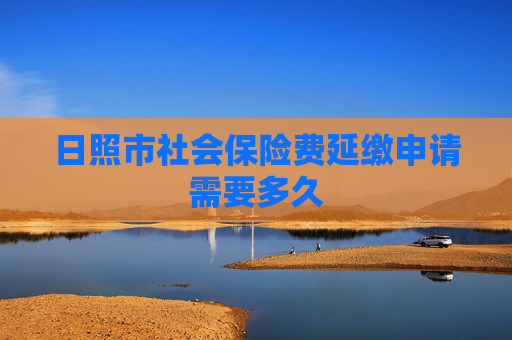 日照市社会保险费延缴申请需要多久