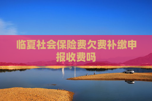 临夏社会保险费欠费补缴申报收费吗