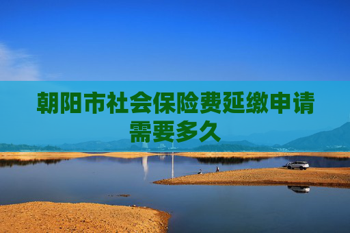 朝阳市社会保险费延缴申请需要多久