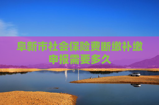 阜新市社会保险费断缴补缴申报需要多久