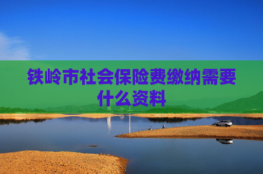 铁岭市社会保险费缴纳需要什么资料