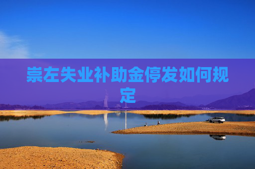 崇左失业补助金停发如何规定