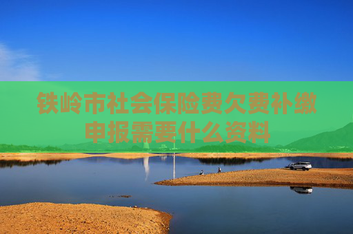 铁岭市社会保险费欠费补缴申报需要什么资料