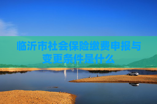 临沂市社会保险缴费申报与变更条件是什么
