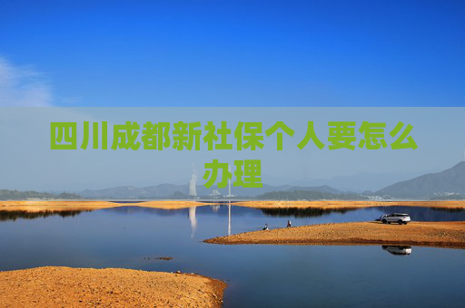 四川成都新社保个人要怎么办理