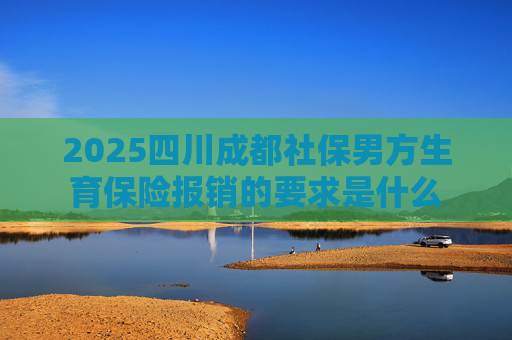 2025四川成都社保男方生育保险报销的要求是什么