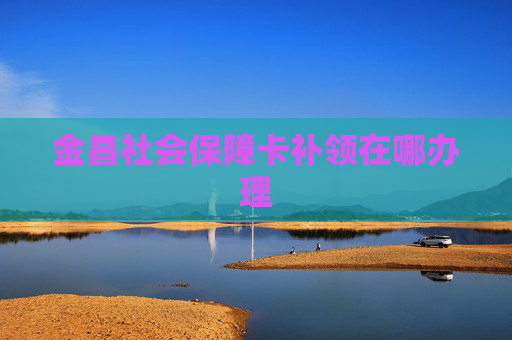 金昌社会保障卡补领在哪办理
