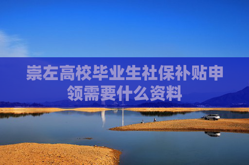 崇左高校毕业生社保补贴申领需要什么资料