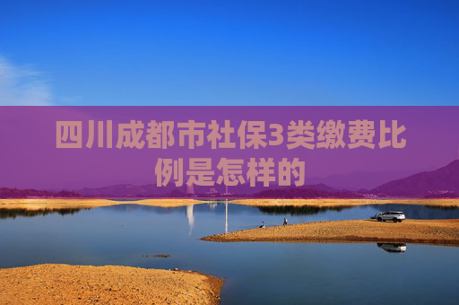 四川成都市社保3类缴费比例是怎样的