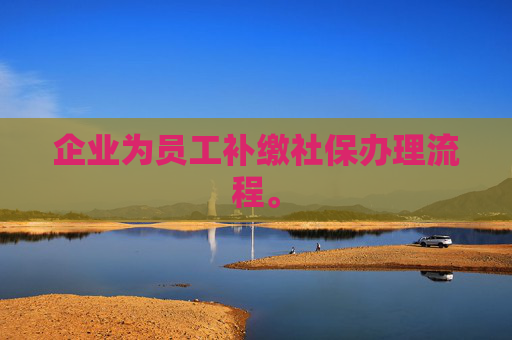 企业为员工补缴社保办理流程。