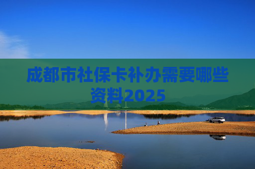 成都市社保卡补办需要哪些资料2025